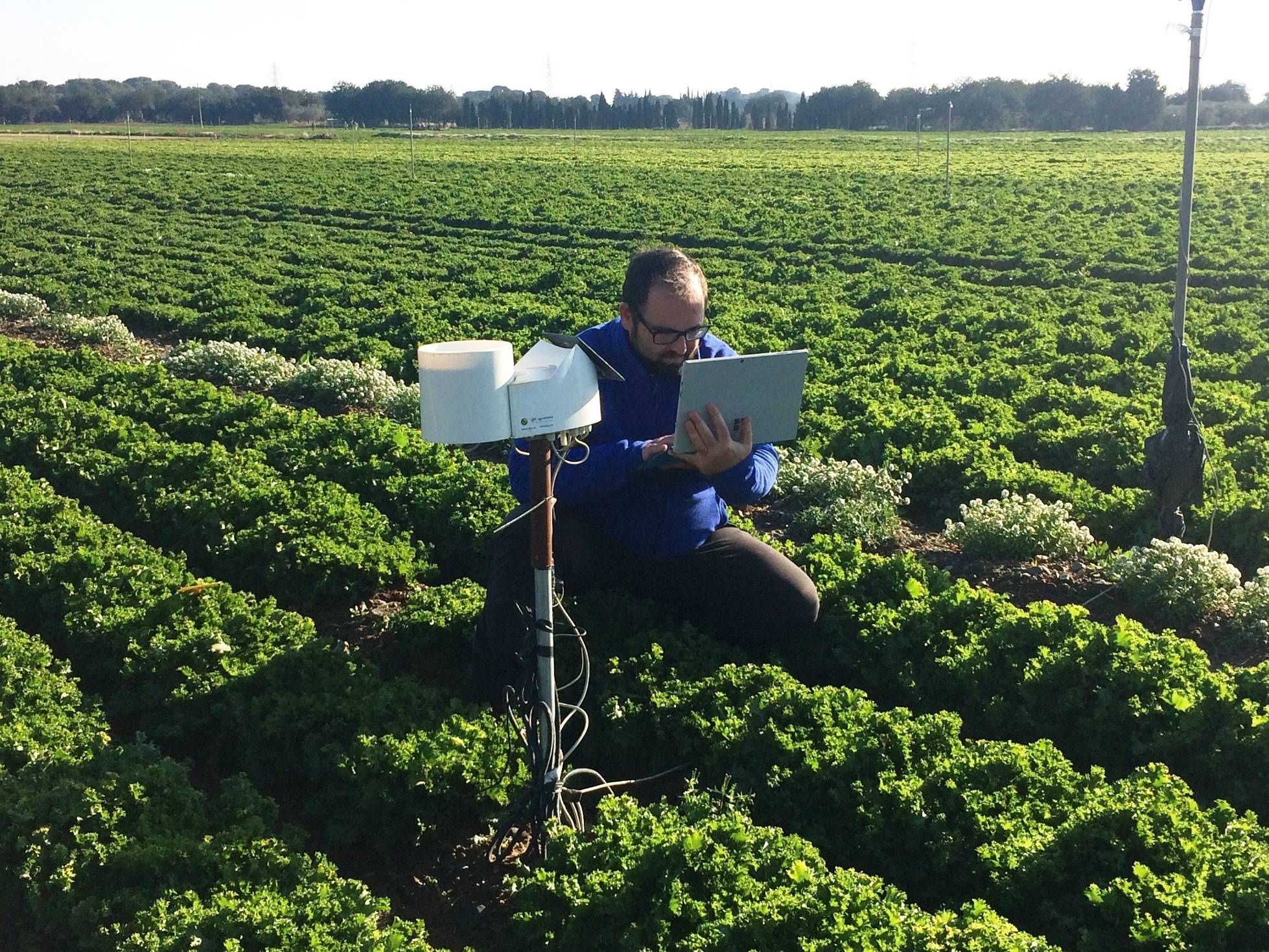 Verdcamp Fruits (1)|sas2018